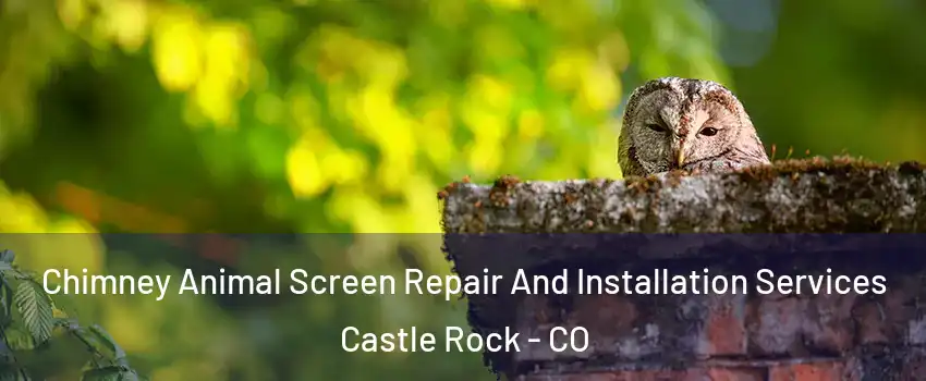  Chimney Animal Screen Repair And Installation Services Castle Rock - CO