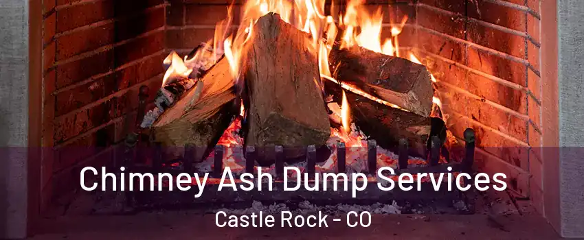 Chimney Ash Dump Services Castle Rock - CO