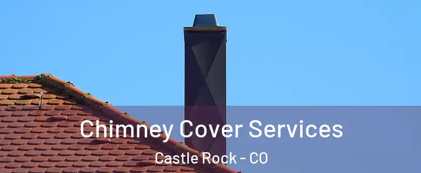  Chimney Cover Services Castle Rock - CO