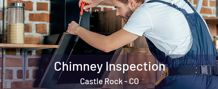  Chimney Inspection Castle Rock - CO