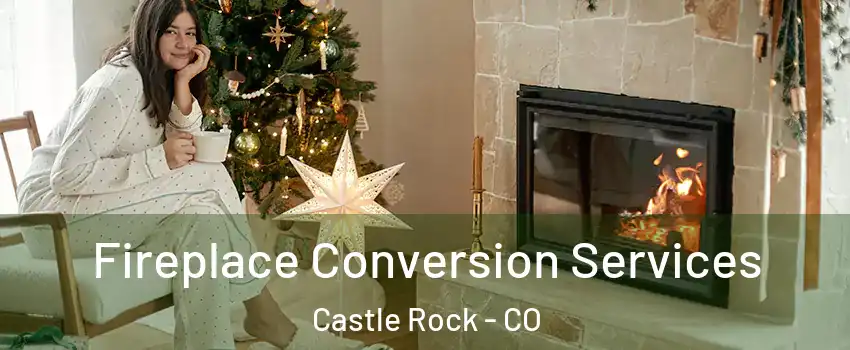  Fireplace Conversion Services Castle Rock - CO