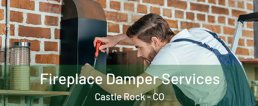  Fireplace Damper Services Castle Rock - CO