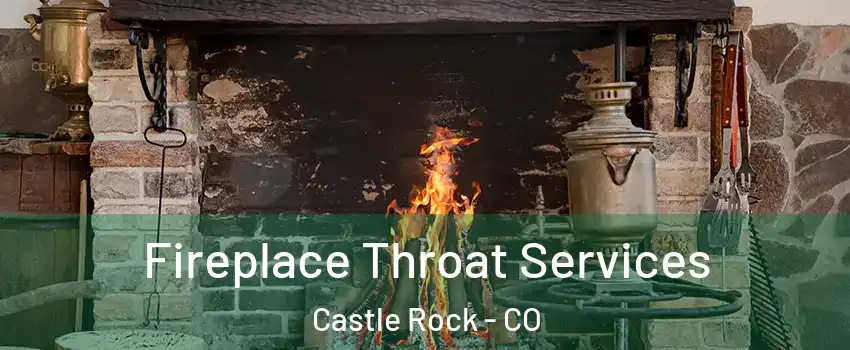  Fireplace Throat Services Castle Rock - CO
