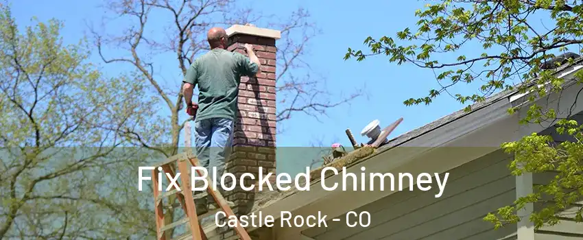 Fix Blocked Chimney Castle Rock - CO