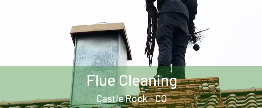  Flue Cleaning Castle Rock - CO