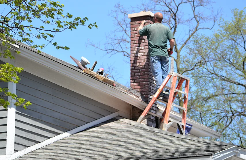 Chimney & Fireplace Inspections Services in Castle Rock, CO