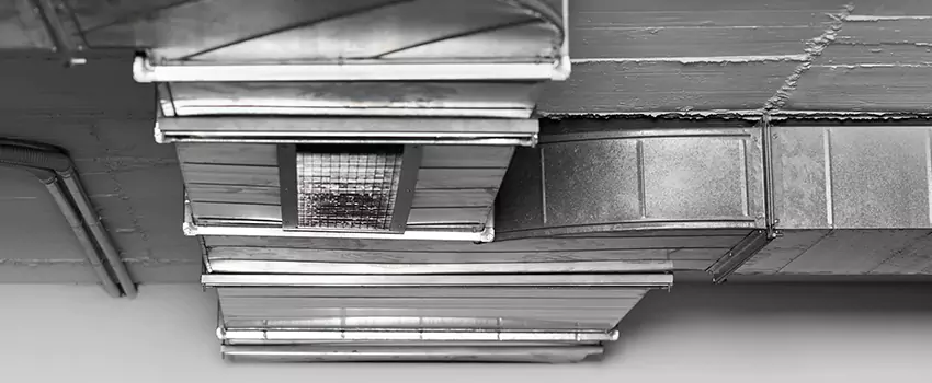 Trusted Air Duct Cleaning Company in Castle Rock, Colorado