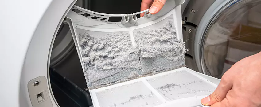 Best Dryer Lint Removal Company in Castle Rock, Colorado