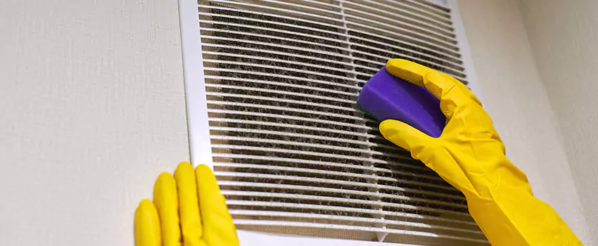 Vent Cleaning Company in Castle Rock, CO