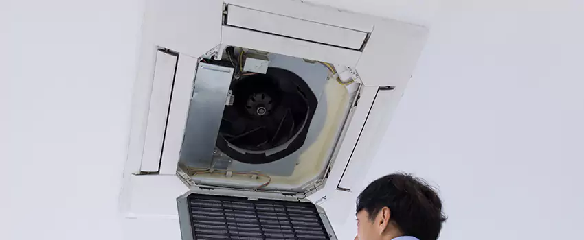 Benefits of Professional Air Duct Cleaning in Castle Rock, Colorado