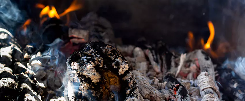 Creosote Removal Experts in Castle Rock, CO