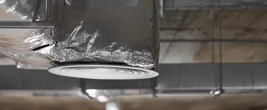 Signs of Dust Accumulation in Vents in Castle Rock, CO