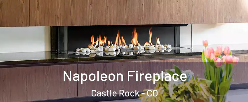  Napoleon Fireplace Castle Rock - CO