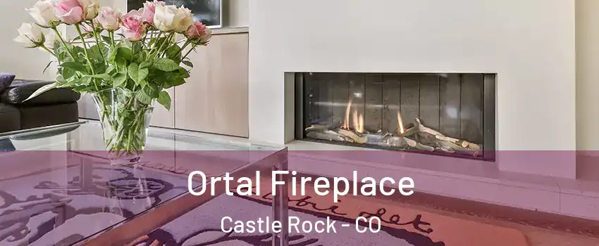 Ortal Fireplace Castle Rock - CO