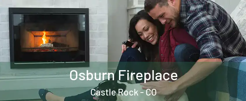  Osburn Fireplace Castle Rock - CO